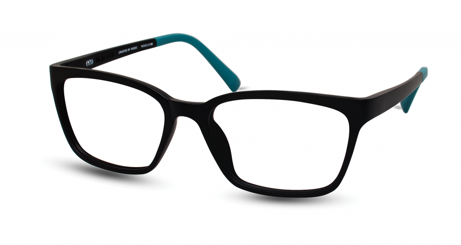 Recycled store eyeglass frames